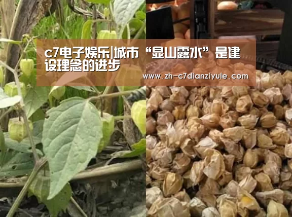 c7电子娱乐|城市“显山露水”是建设理念的进步(图2) c7电子娱乐