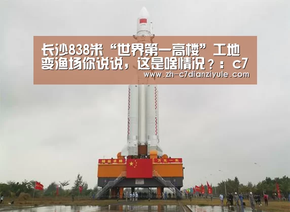 c7电子娱乐