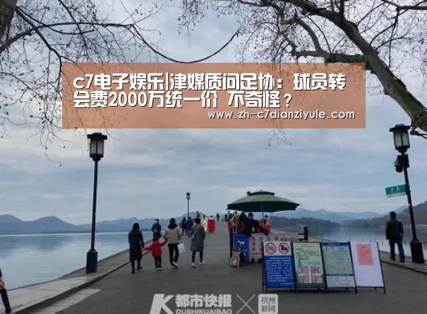 c7电子娱乐