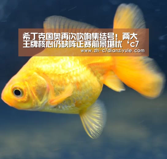 c7电子娱乐