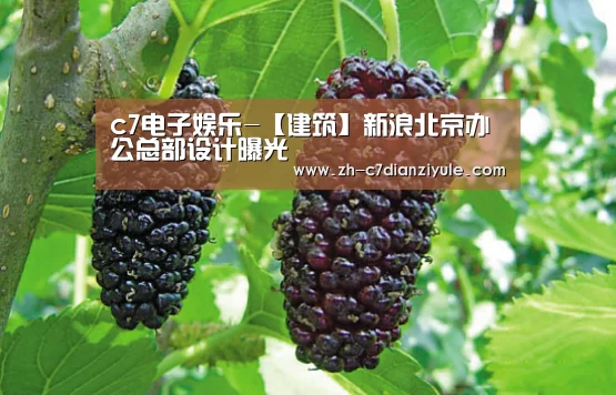 c7电子娱乐-【建筑】新浪北京办公总部设计曝光(图4) c7电子娱乐
