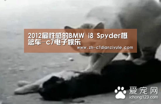 2012最性感的BMW i8 Spyder概念车-c7电子娱乐(图3) c7电子娱乐