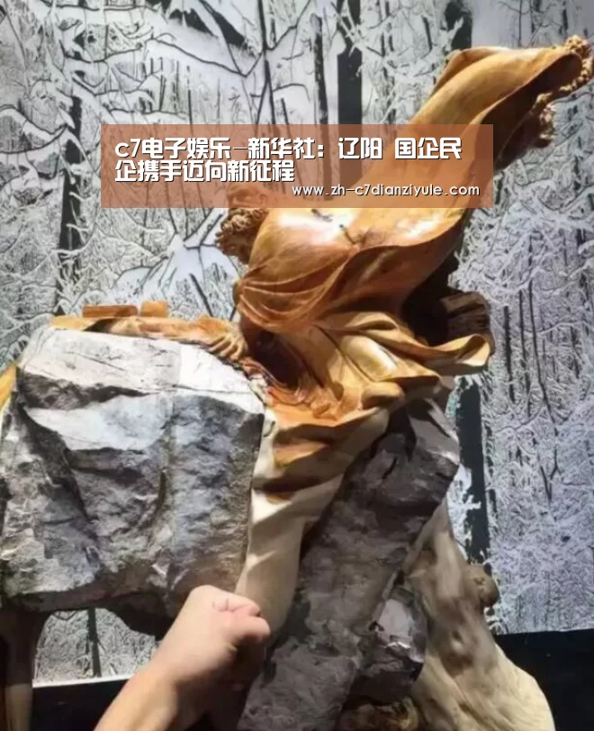 c7电子娱乐-新华社：辽阳 国企民企携手迈向新征程