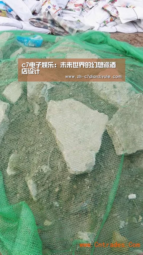 c7电子娱乐：未来世界的幻想派酒店设计