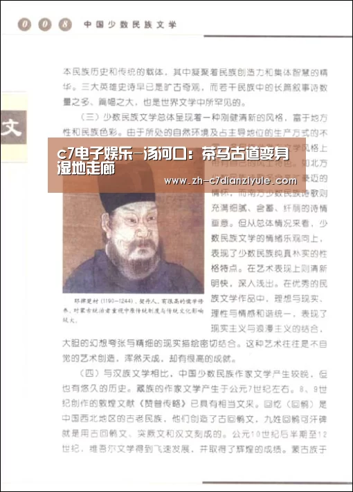 c7电子娱乐